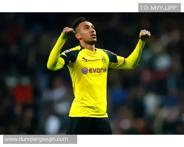 全球足球历史巨星排名揭晓各国传奇球员成就大对比