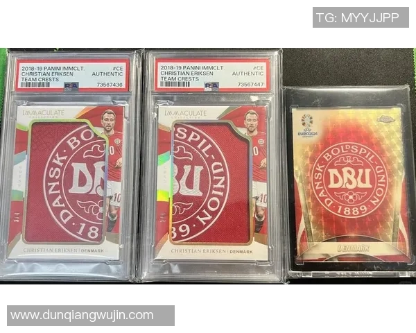 国外足球明星球星卡收藏与投资价值深度解析